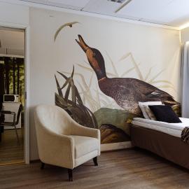 Hotel Sorsanpesä, отель в Сейняйоки