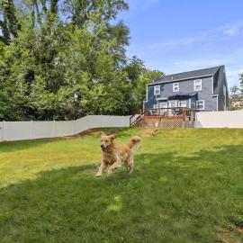 Cozy w Fenced Yard Games & Walkable to Luray