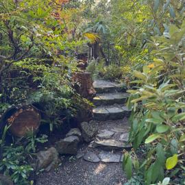 Magnolia Petal Accommodation, готель у місті Salt Spring Island