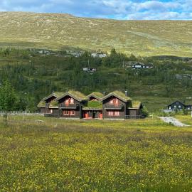 Cabin By Main Ski Trail At Norefjell, hotel v destinácii Eggedal