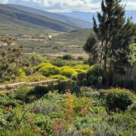 McGregor Hideaways