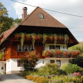 Oberbauernhof - Wohnung Stübleberg -- Moderne FeWo im schönen Schwarzwaldhaus