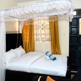 Deluxe Homes 2, Voi