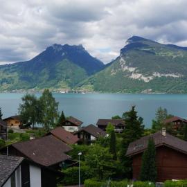 Studio Lake View Faulensee