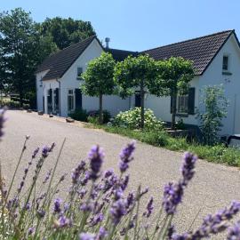 Luxury guesthouse - Eik bij de dijk, hotel in Aalst