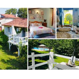 La Colline de Tilleul - Les Deux Puits - Cosy Cottage with swimming pool near Aubeterre, Hotel in Saint-Romain