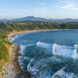 Bonjour Sauvage Saint Jean de Luz