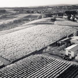 Weingut Freimuth