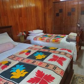 Antique Villa