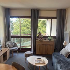 Studio Cabine au pied des pistes, hotel in Eaux-Bonnes