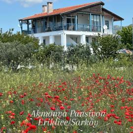 Akmonya Pansiyon, hotel en Eriklice