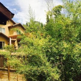 Gorgeous cottage in fair oaks village, hotel u gradu Fair Oaks
