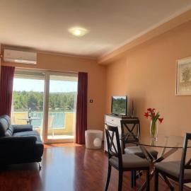 Pool view apartment with balcony in Obrovac, Hotel in Obrovac