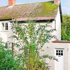 Willow Cottage