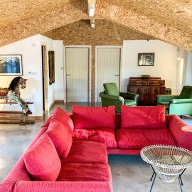 The Organic Cabin - Uk42325