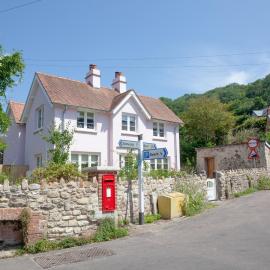 The Pink House