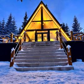 ALTURA Chalet, hotel in Muntele Băişorii