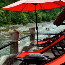 EcoTravel Cottages Bukit Lawang & Jungle Trekking, hotel in Bukit Lawang