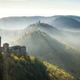 Pfalzliebe