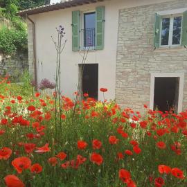 Appartement Nido Visone