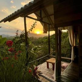 Eco Cabins by La Mona Palomino, hotel in Palomino