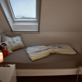 Ferienwohnung Zwergpinscher