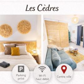 Grand studio - centre Ville, parking et minibar