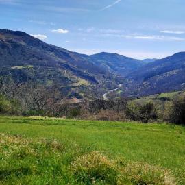Maison au calme entre Causses and Cévennes, hotel in Barre-des-Cévennes
