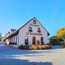 Penzion U Hraběnky, hotel in Petrovice