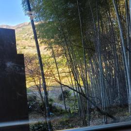河津町天川旅館