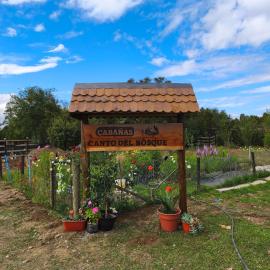 Canto del Bosque, hotel em Castro