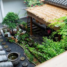 芙蓉镇山居客民宿, Hotel in Wangcun