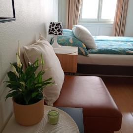 Central tiny studio