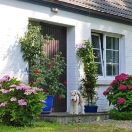 Haus Heversand