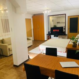 Wonderfull Village studio with terrace, hotel i Rakvice