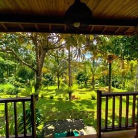 Oka Wooden house8