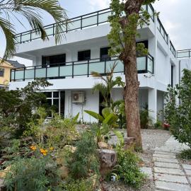 Shin Mei B&B, Hotel in Puli