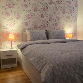 Modern Family Stay near CNE - Parking & Workspace, hotel in Cernavodă