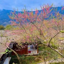 Tao Tay House - Ta Van