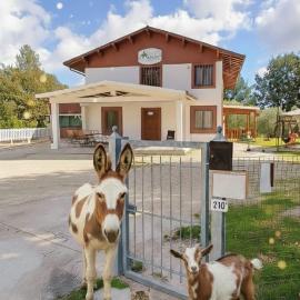 LE CERQUE, hotel in Spoleto