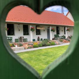 Ladislaus Schnaps-Haus Falusi Vendégház, hotel in Csolnok