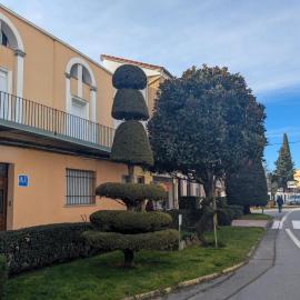 AT VerAgustina en la sierra de Gredos, hotel in Losar de la Vera
