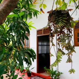 Ivy Cottage- Midigama, hotel em Nikawatawana