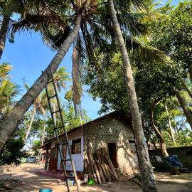 Farmhouse Homestay, hotel v Negombu