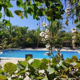 Paraiso de verano