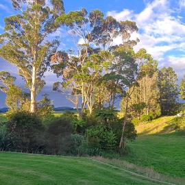 Rolling Hills Country Stay B&B