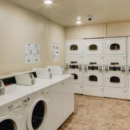 WoodSpring Suites Williston，威利斯頓的飯店