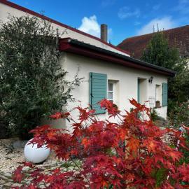 Domaine de la Mance - Maisonnette avec cheminée, bain nordique en supplément, хотел в Vitrey