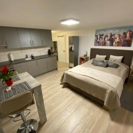 Magnifique studio en-dessus de Martigny
