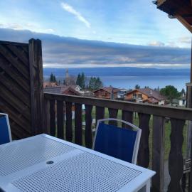 Les chalets d Evian, hotel in Évian-les-Bains